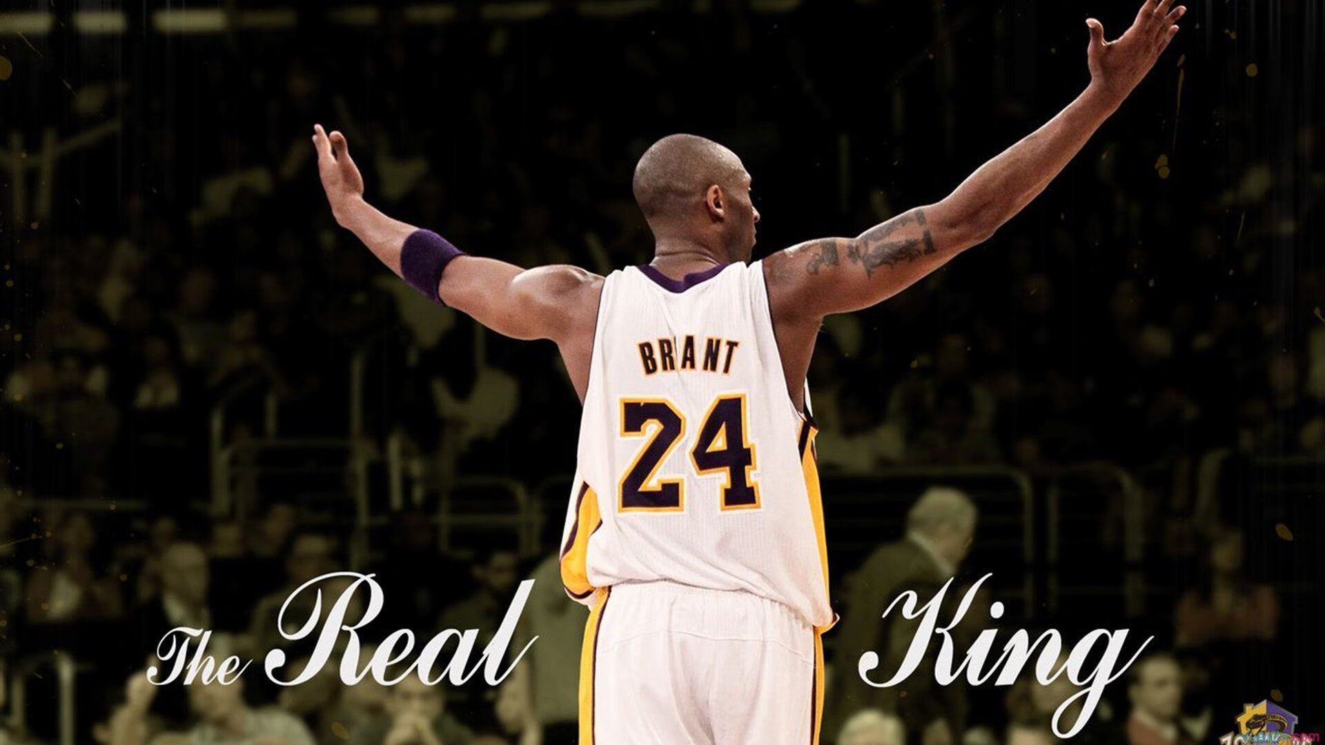 【裁判内幕】比赛中的犯规判罚流程详解，裁判技术犯规动作